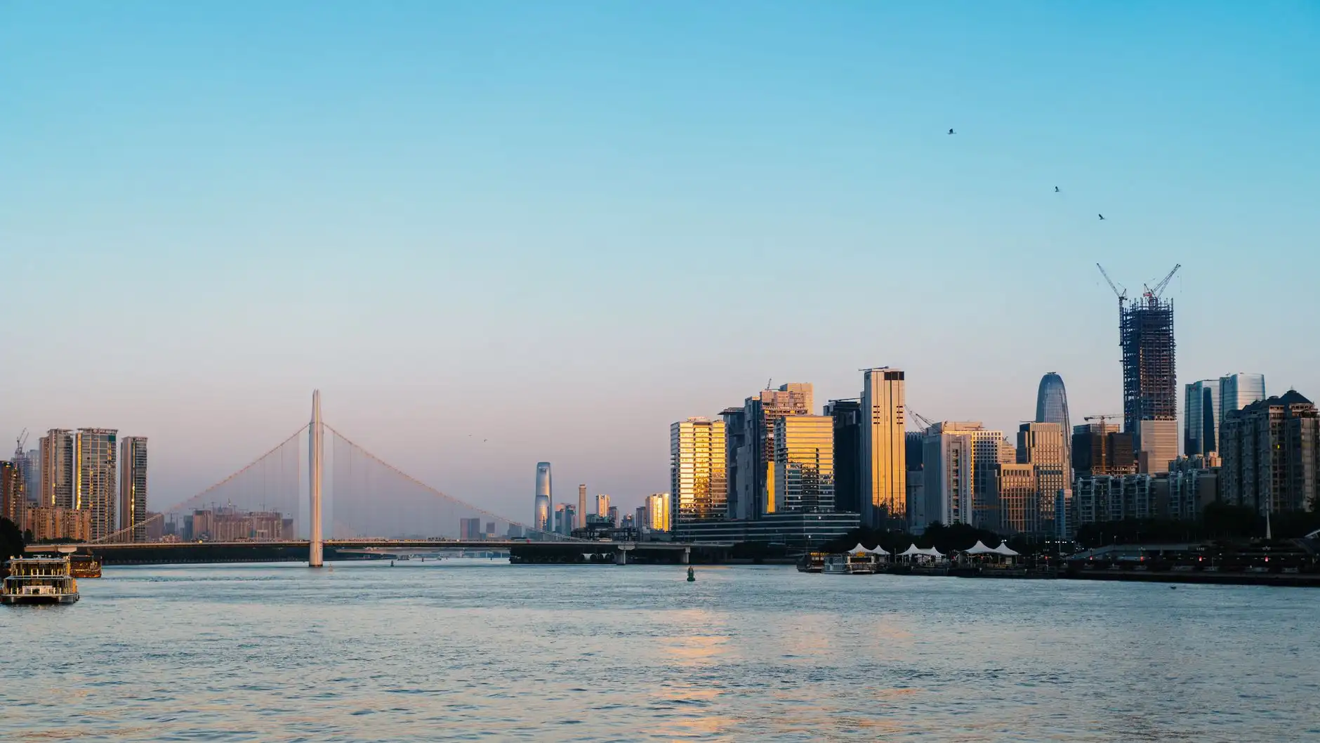 2024大连茶叶市场行情与如心茗茶品质优势分析