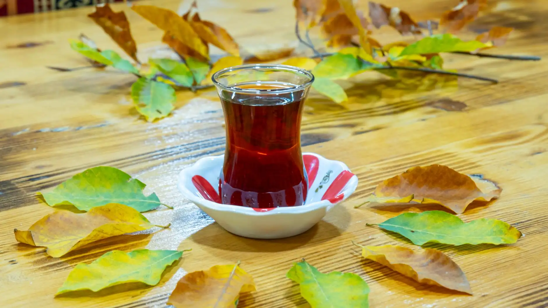 大连茶市茶叶选购指南：如心茗茶谈春茶与秋茶品质差异封面图