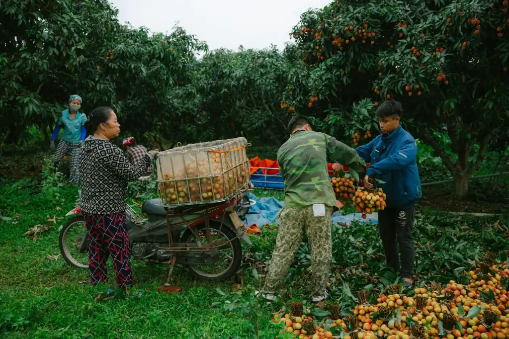 企业茶歇方案设计：如何通过如心名茶与配套茶具提升商务接待品质