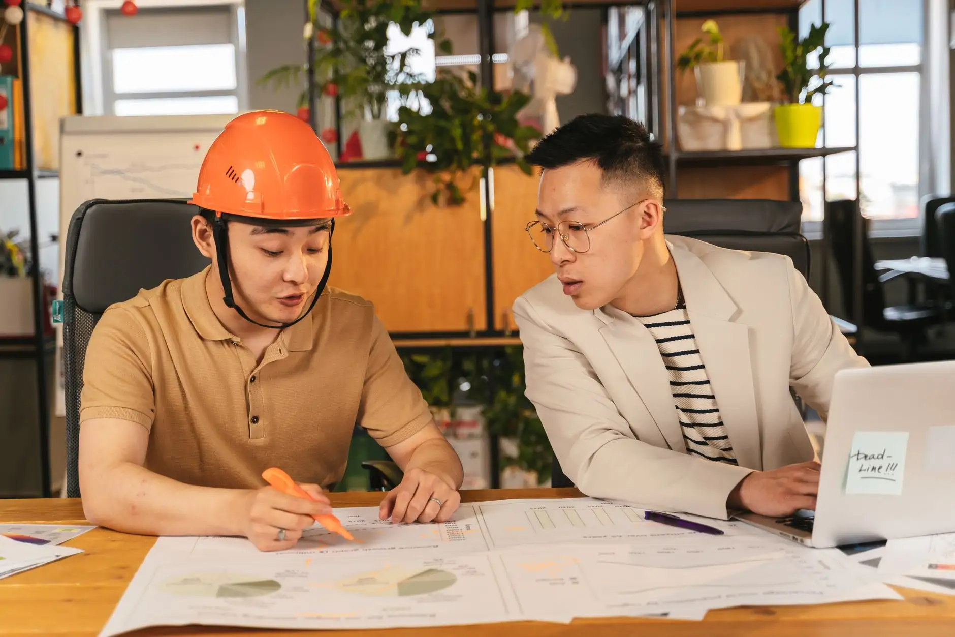 2024大连茶叶市场行情与如心茗茶品质优势分析
