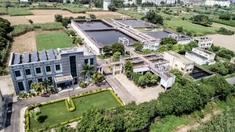 大连如心茗茶2024年新茶上市：核心茶产区品质对比与品鉴指南