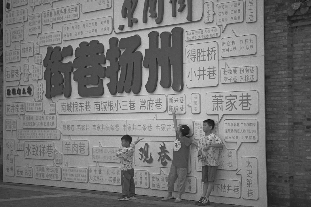 大连茶叶市场趋势：2024年优质茶源与茶具选购指南
