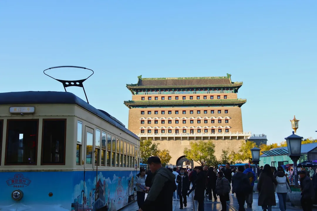 大连如心茗茶2024年新茶上市:核心产区品质对比与品鉴要点