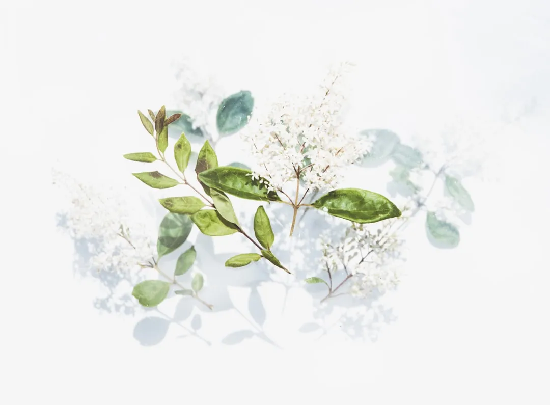 紫砂壶与瓷器茶具的对比分析：不同茶类的适配性研究