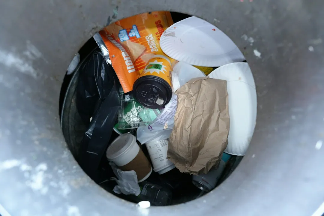 大连茶叶选购指南：如心茗茶教你辨别春茶与秋茶品质差异